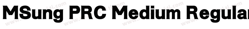 MSung PRC Medium Regular字体转换